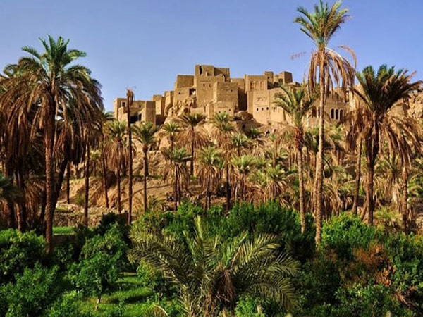 تور کویرمصر